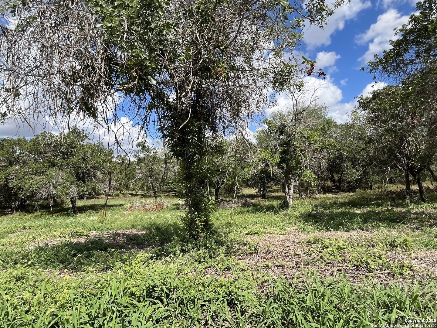 0.54 acres in Wilson County - photo 17