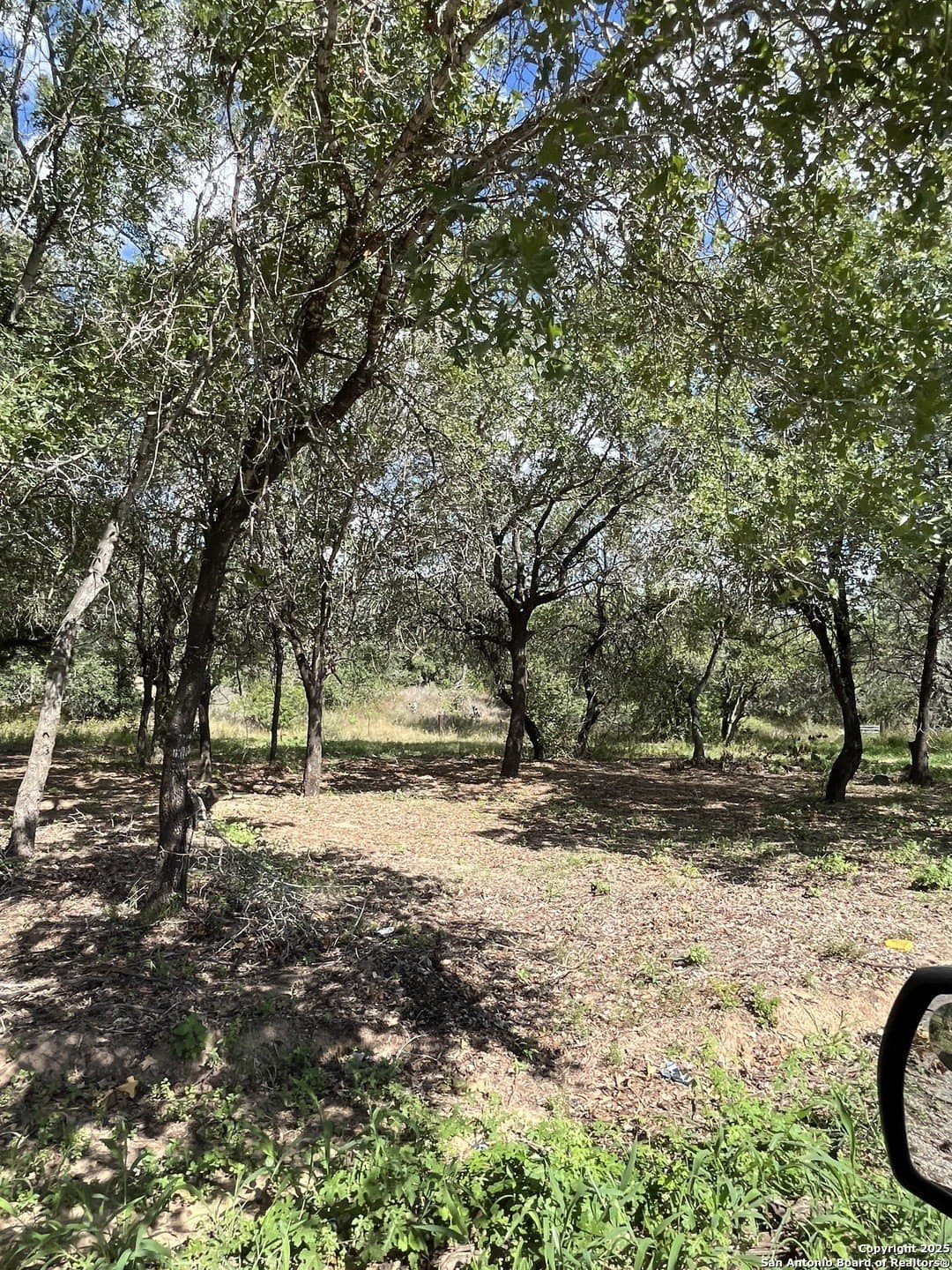 0.54 acres in Wilson County - photo 14