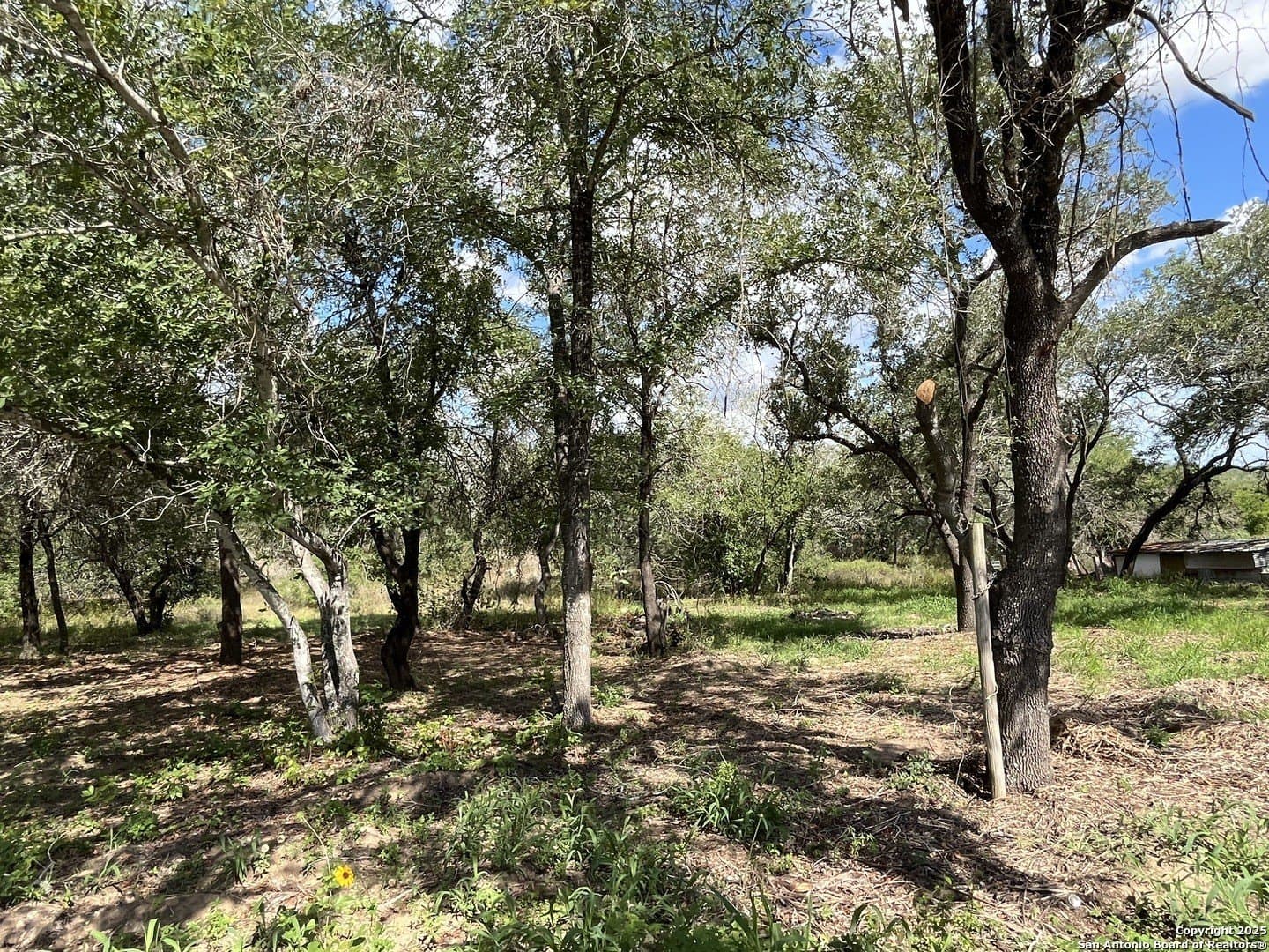0.54 acres in Wilson County - photo 12