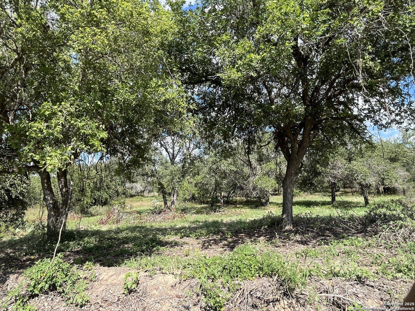 0.54 acres in Wilson County - photo 21