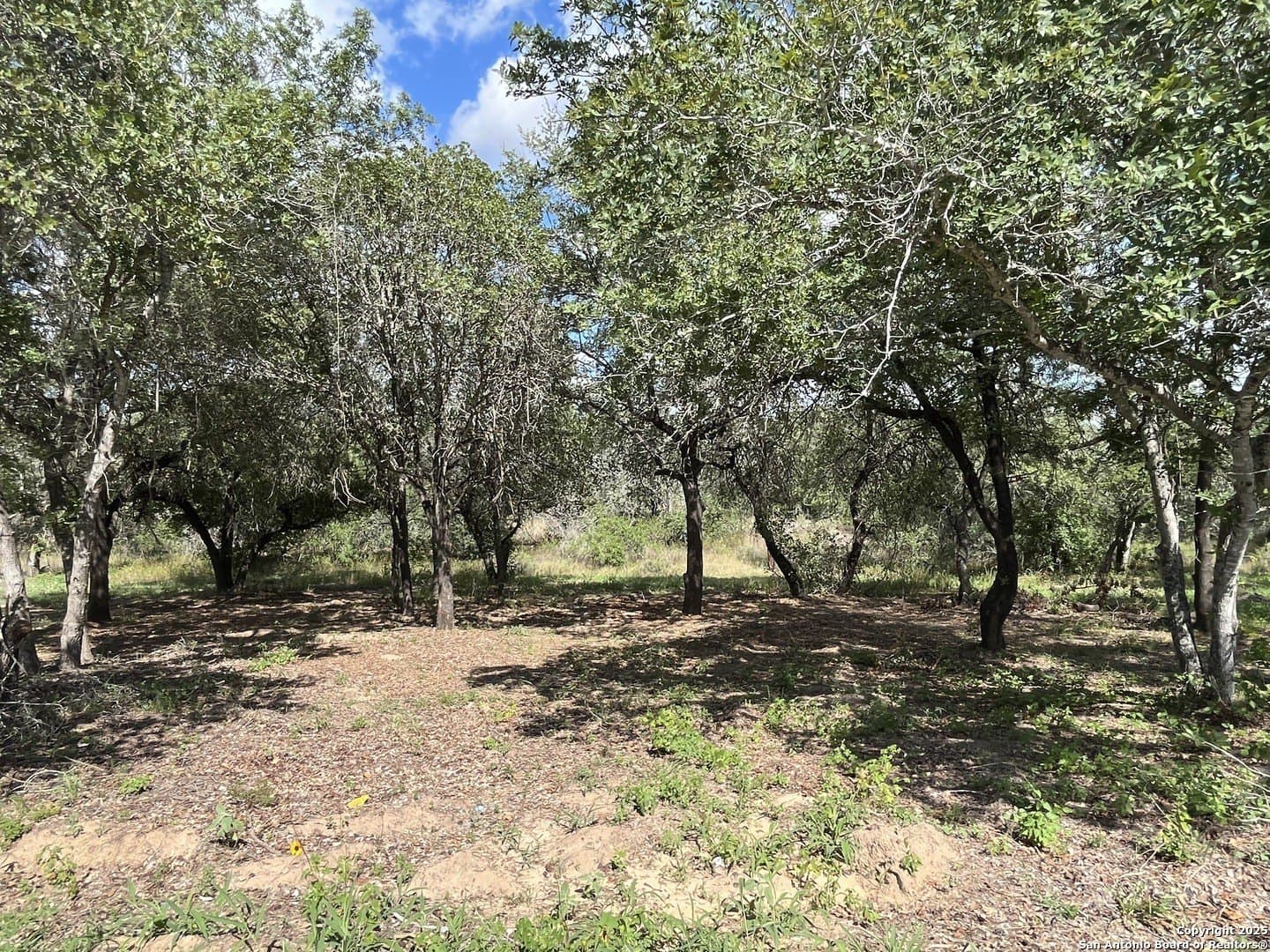 0.54 acres in Wilson County - photo 13