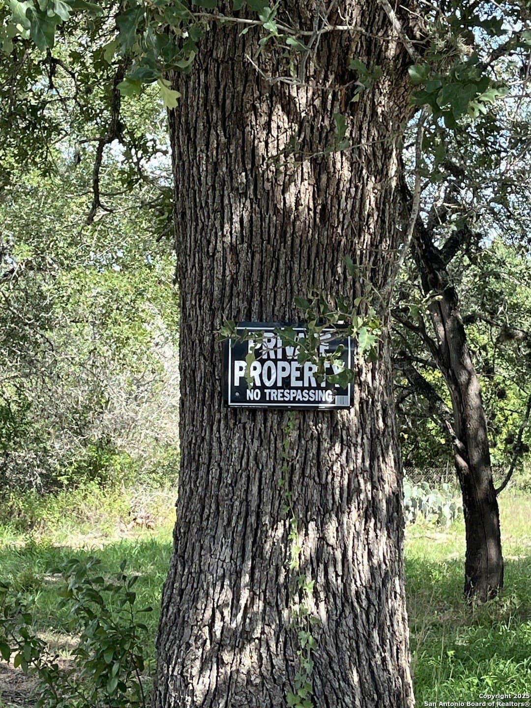 0.54 acres in Wilson County - photo 10