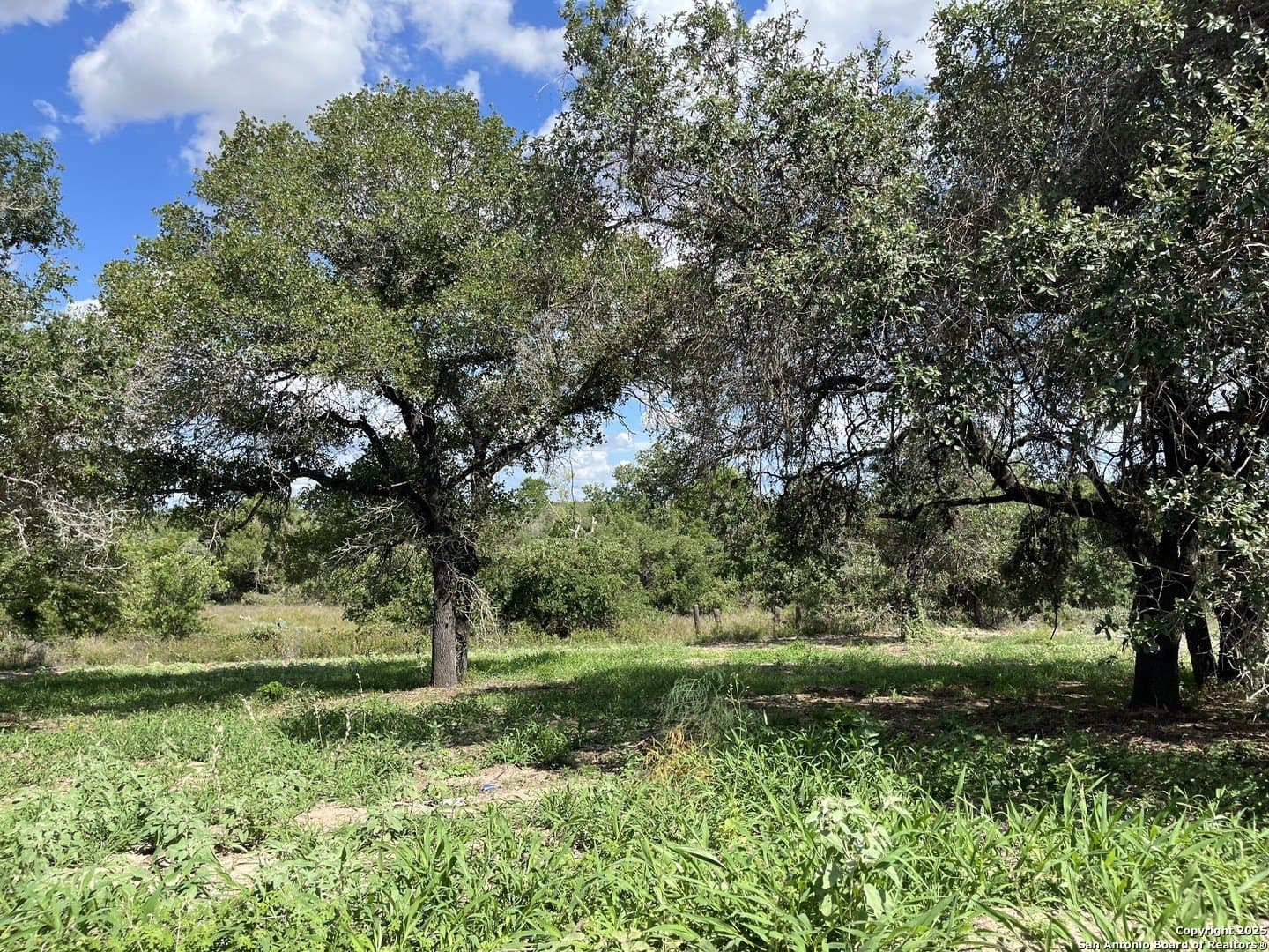 0.54 acres in Wilson County - photo 4