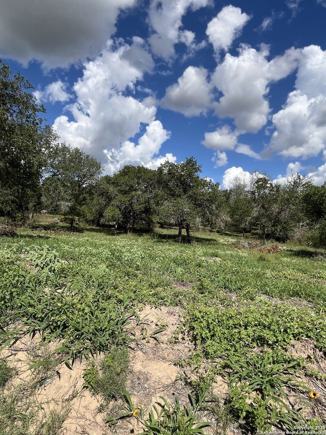 0.54 acres in Wilson County - photo 18