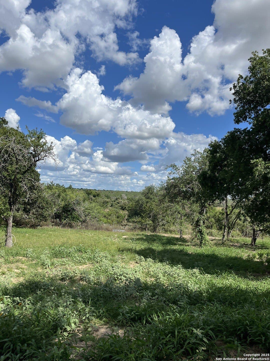 0.54 acres in Wilson County - photo 6
