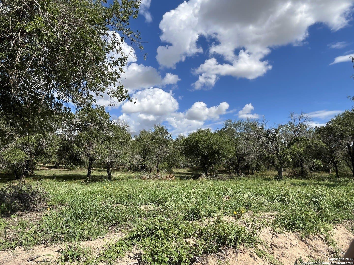 0.54 acres in Wilson County - photo 20