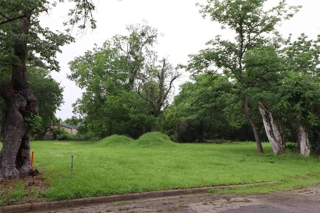 0.14 acres in Hunt County gallery image 2
