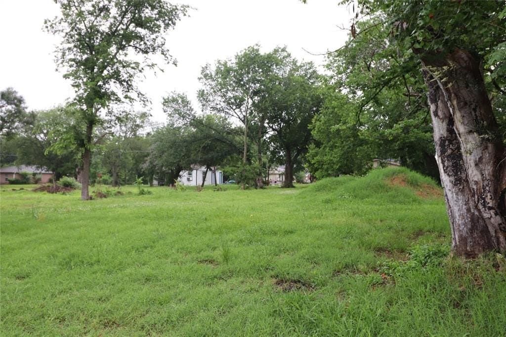 0.14 acres in Hunt County gallery image 4