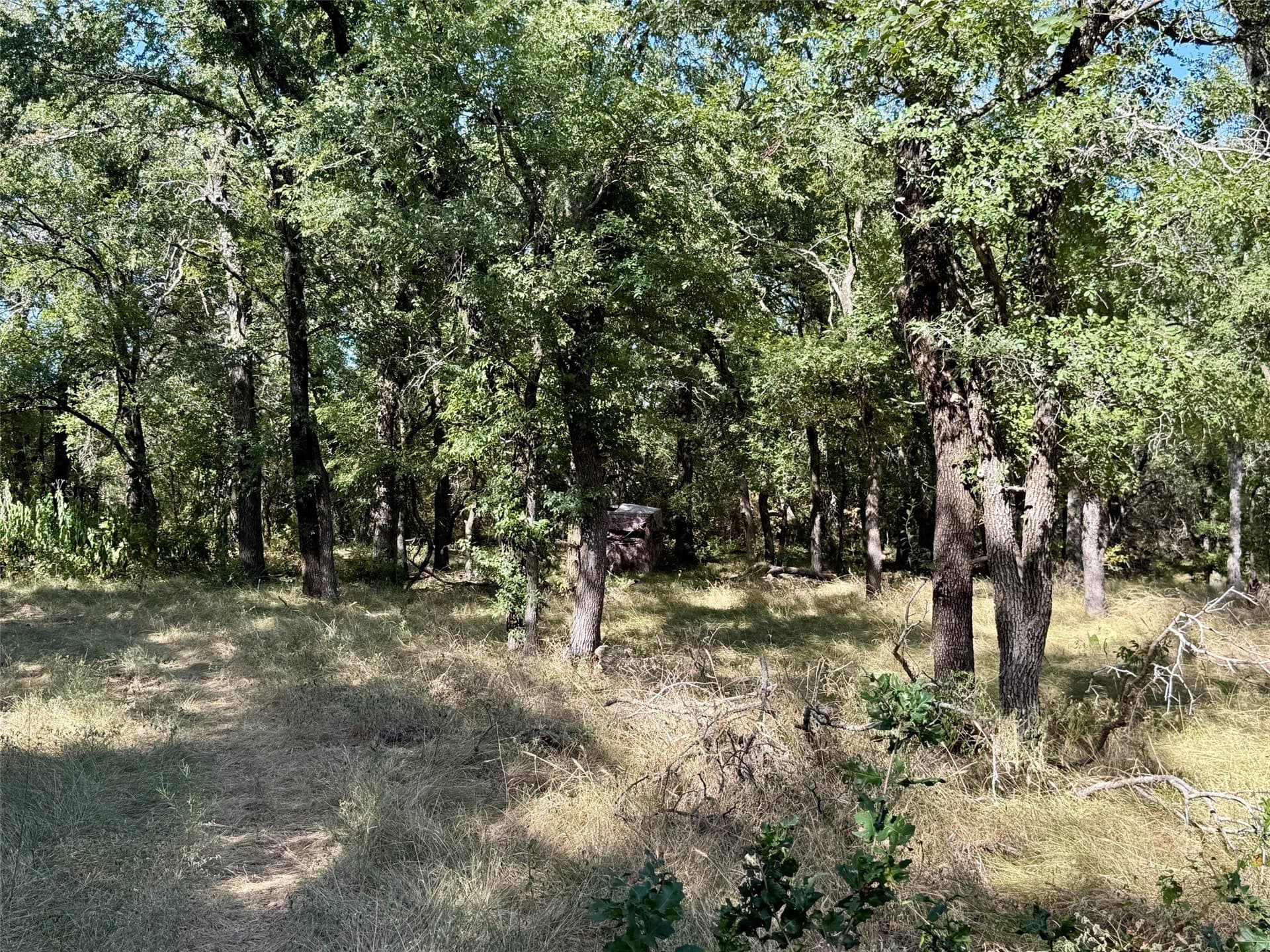 33.33 acres in Hamilton County - photo 31