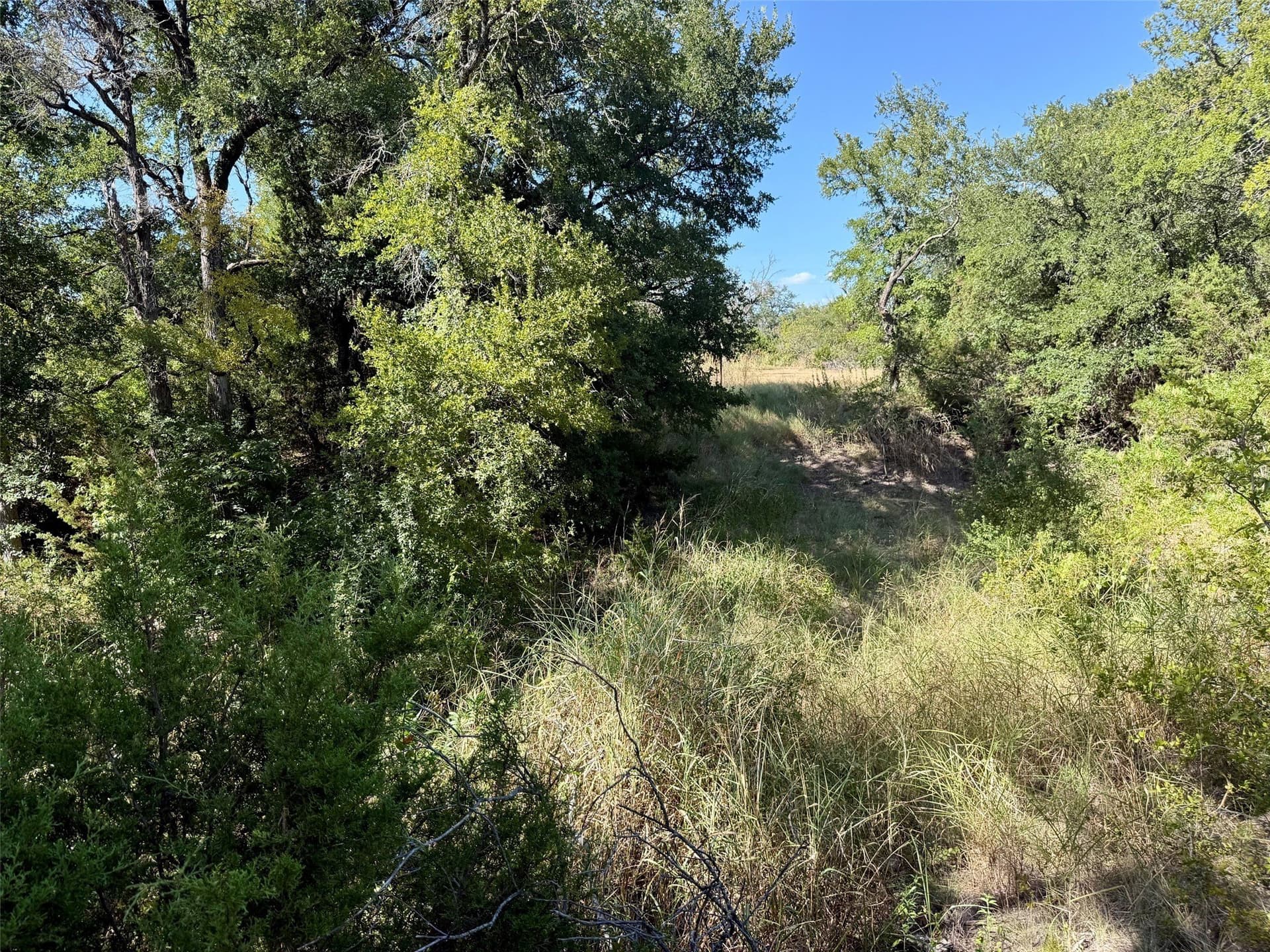 33.33 acres in Hamilton County - photo 18