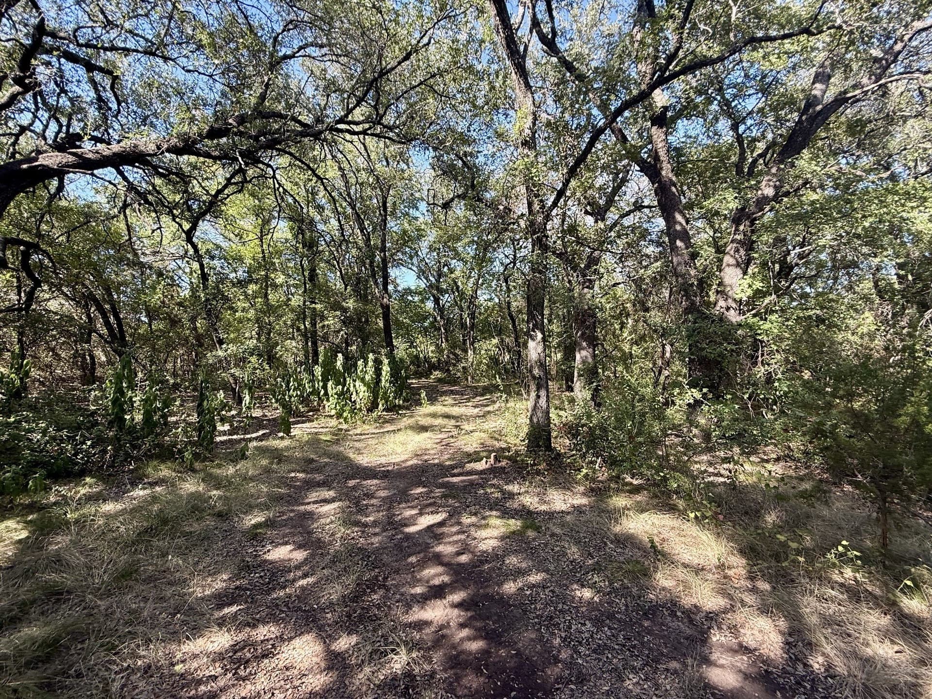 33.33 acres in Hamilton County - photo 32