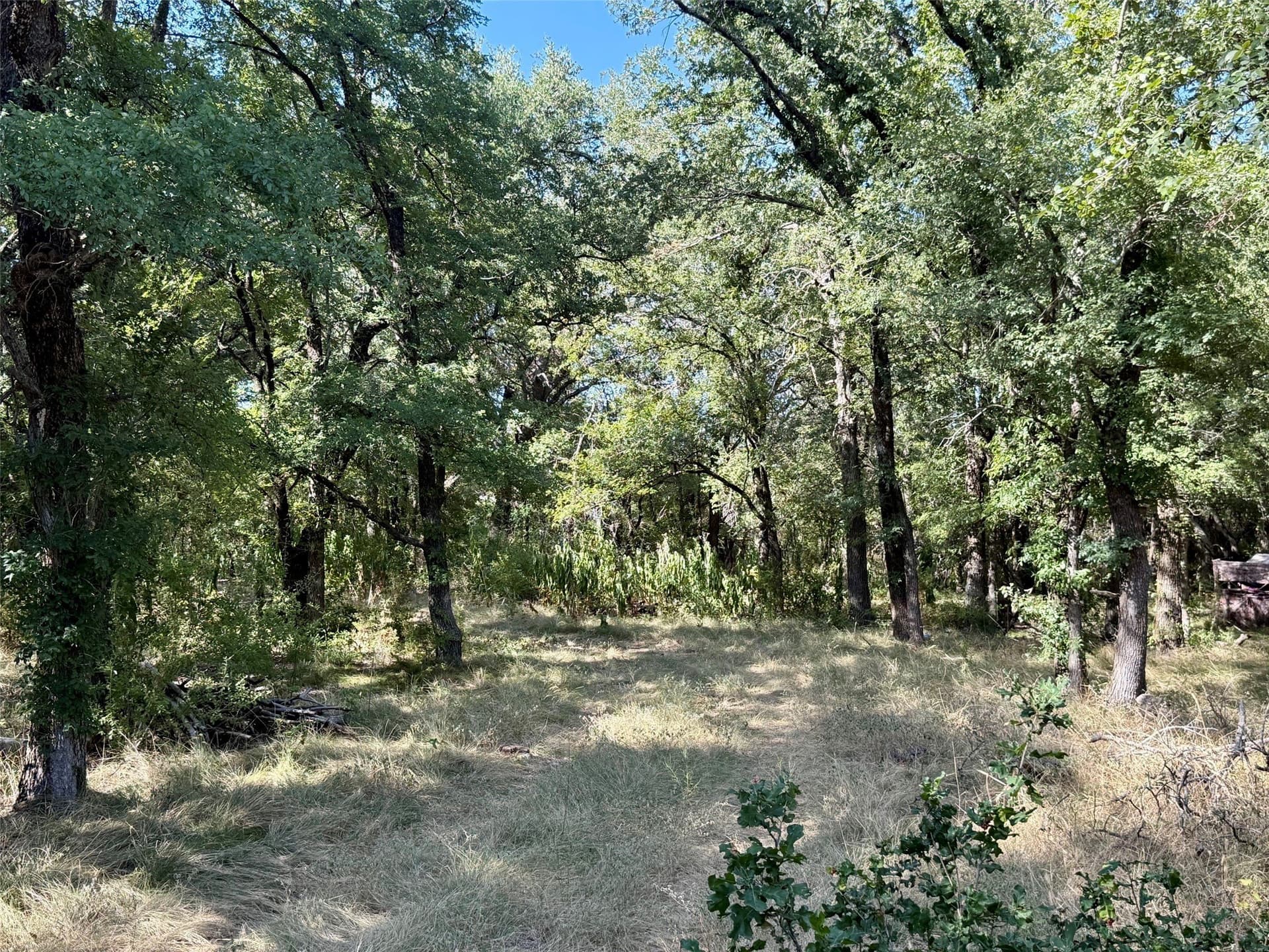33.33 acres in Hamilton County - photo 24