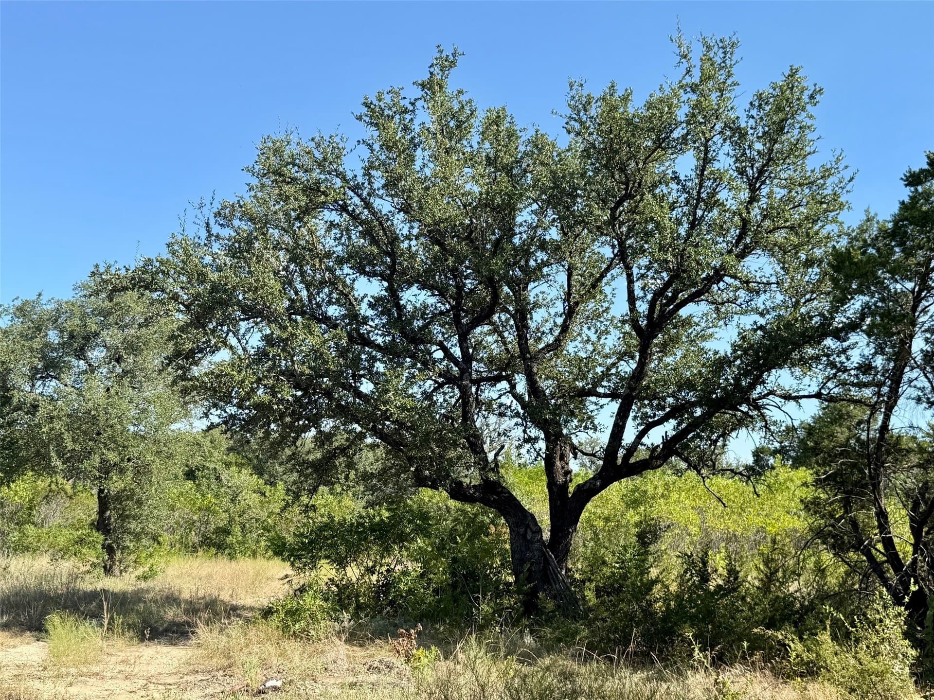 33.33 acres in Hamilton County - photo 34