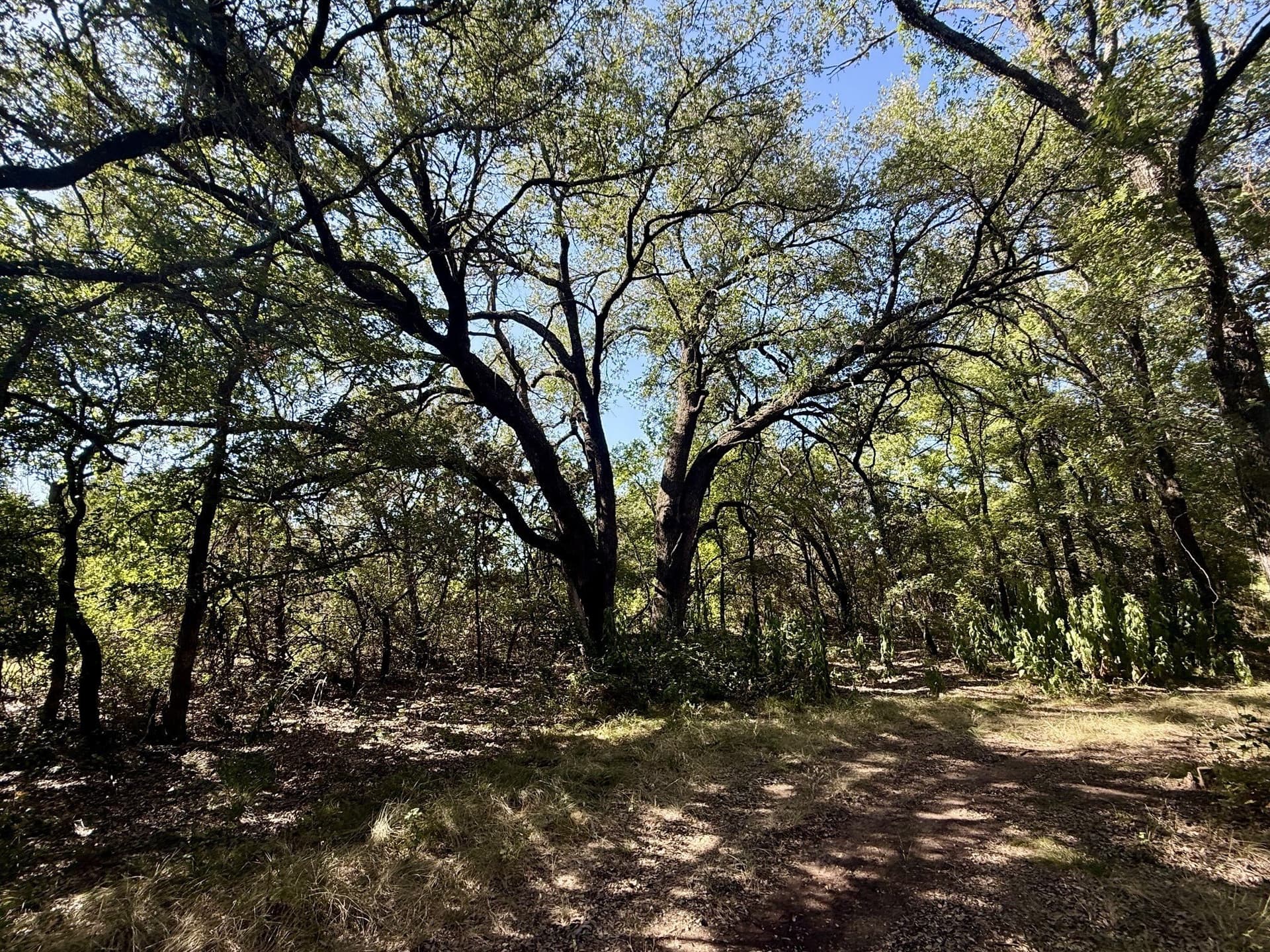 33.33 acres in Hamilton County - photo 6