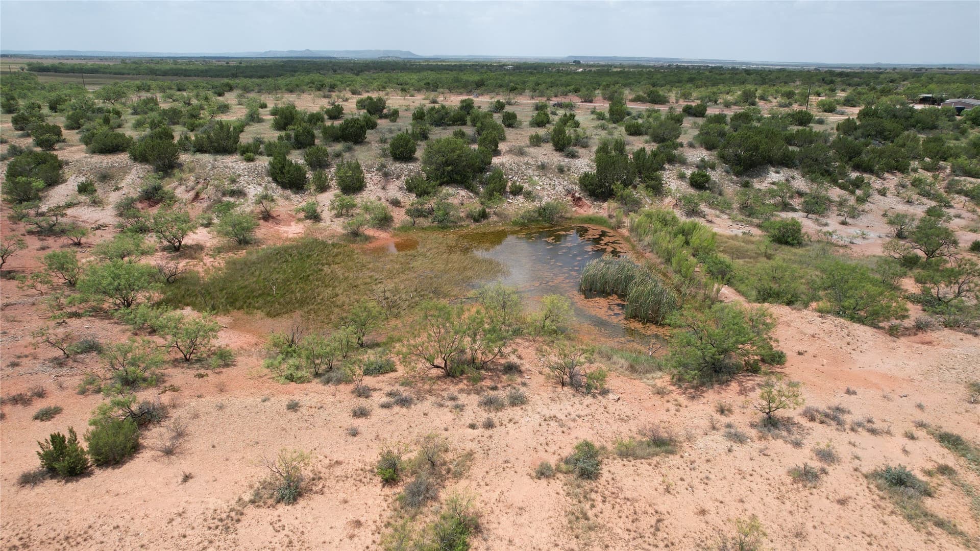 161.24 acres in Runnels County - photo 13