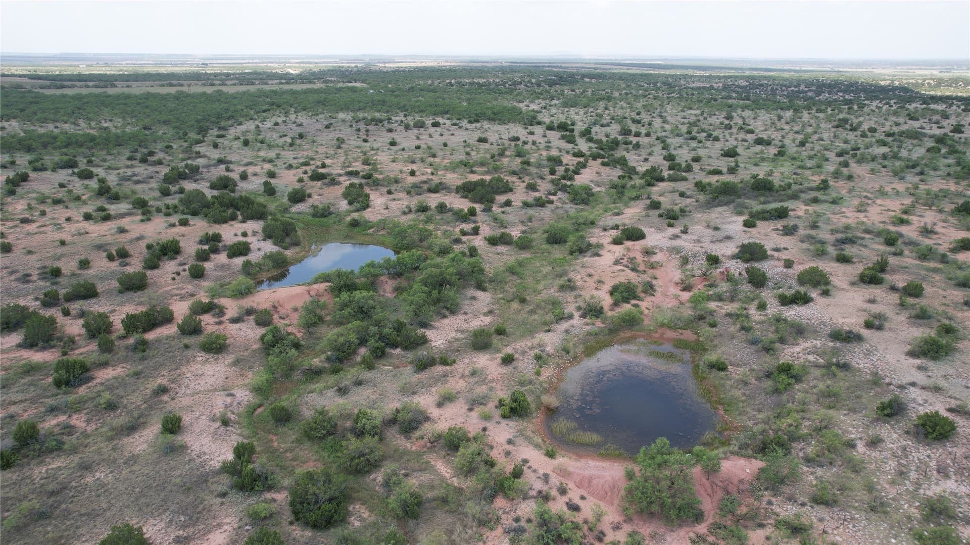 161.24 acres in Runnels County - photo 8