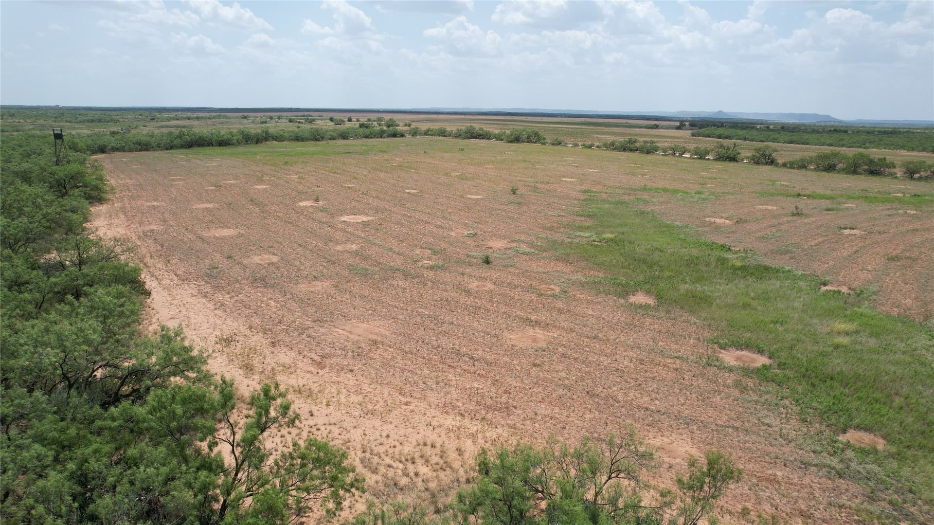 161.24 acres in Runnels County - photo 20