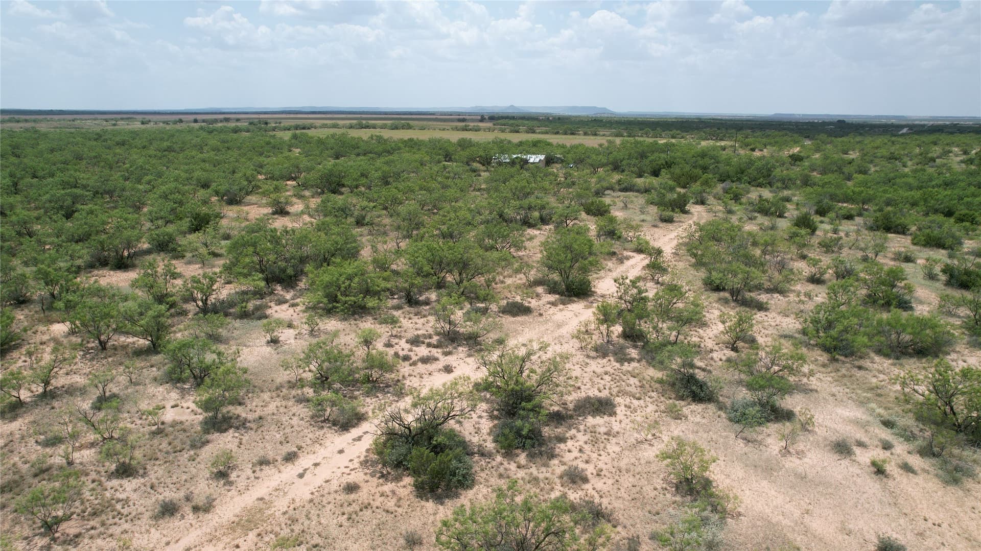 161.24 acres in Runnels County - photo 18