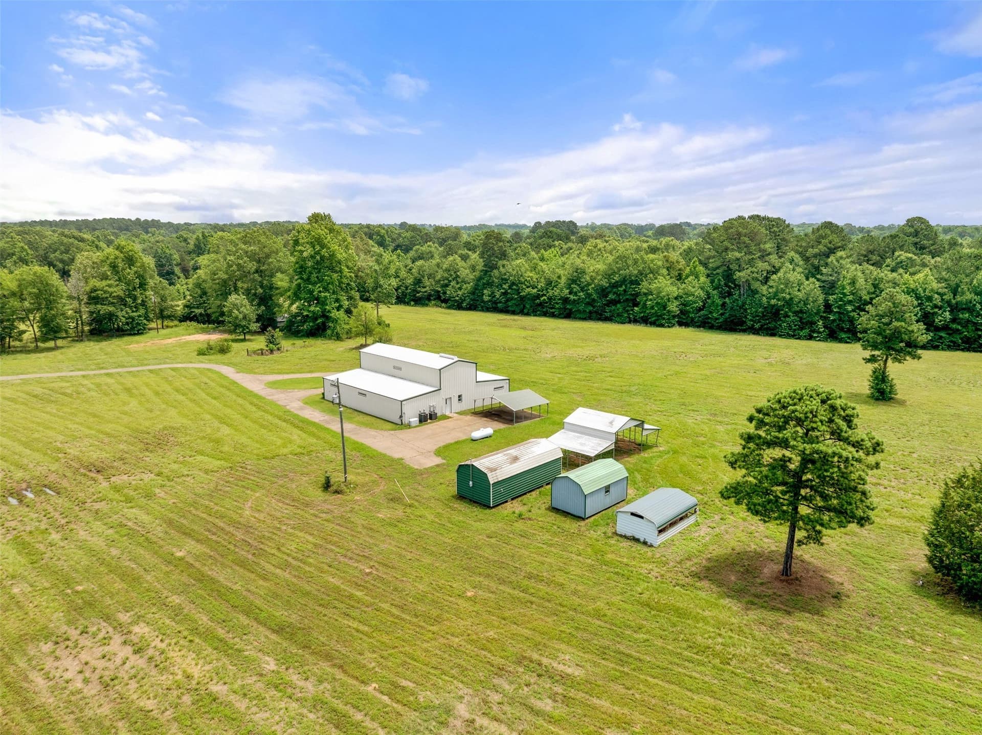 13 acres in Titus County - photo 35