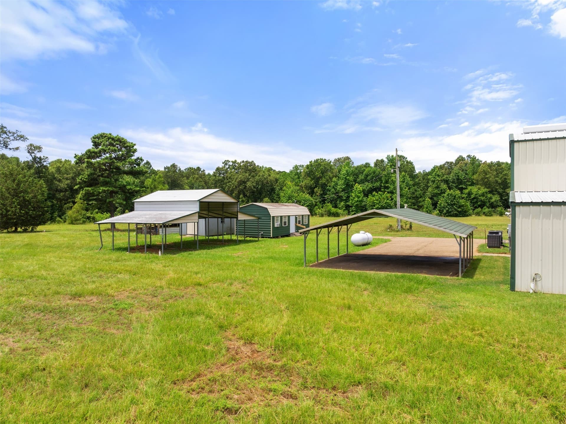 13 acres in Titus County - photo 33