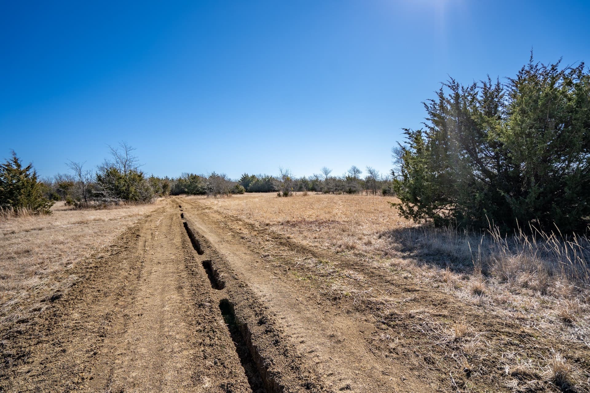 3.02 acres in Rains County - photo 15