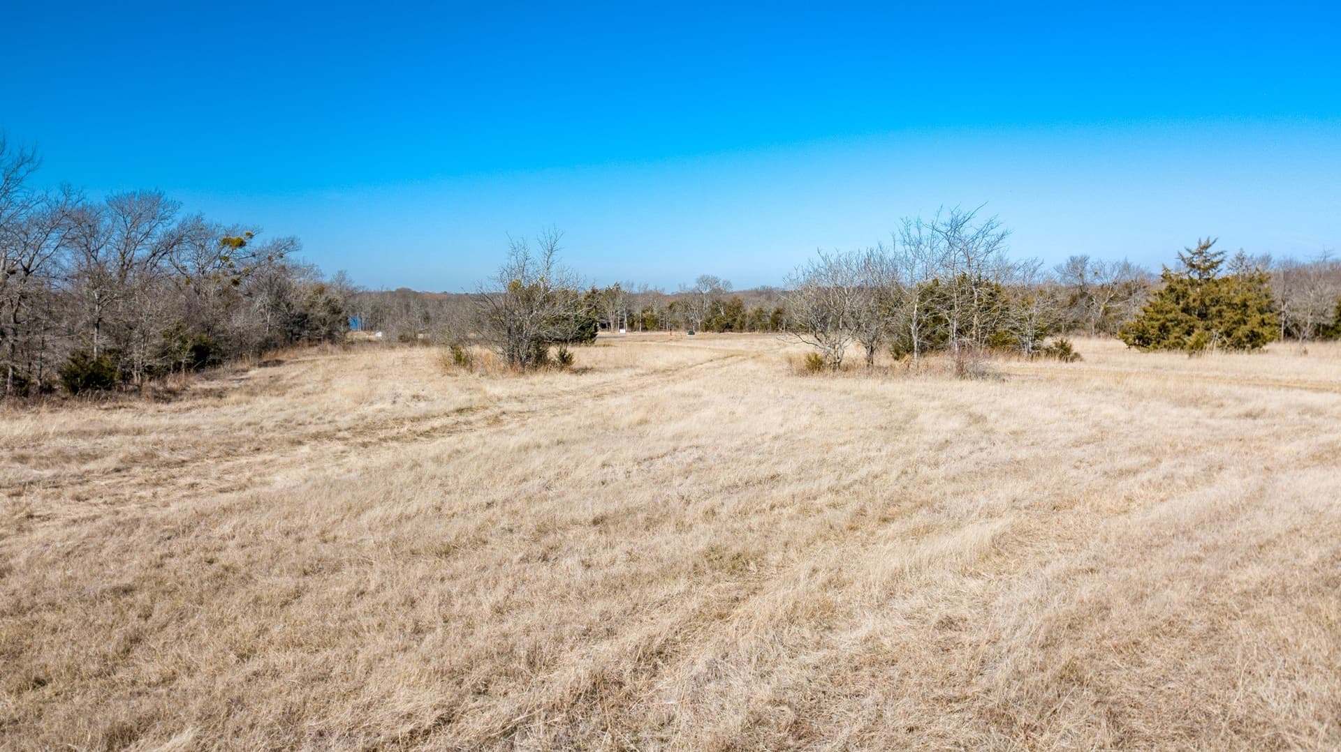 3.02 acres in Rains County - photo 17