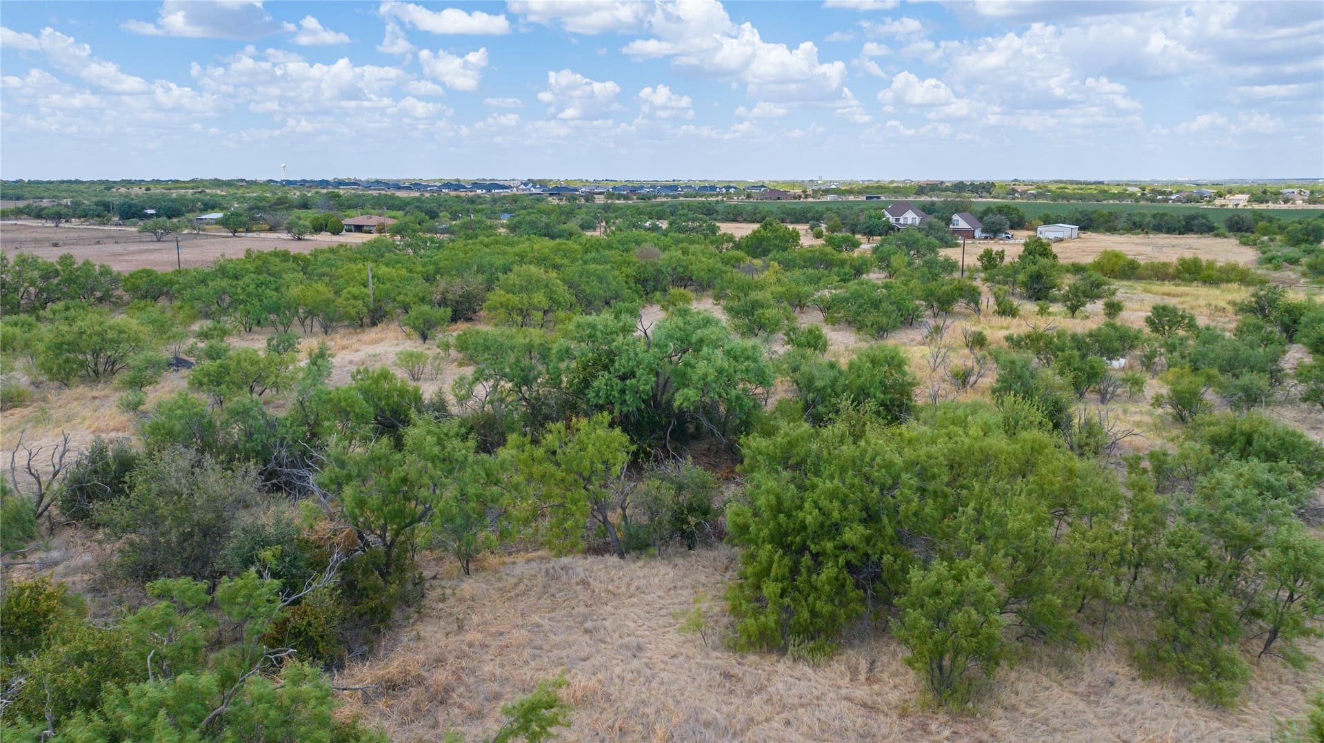 4.97 acres in Taylor County - photo 7