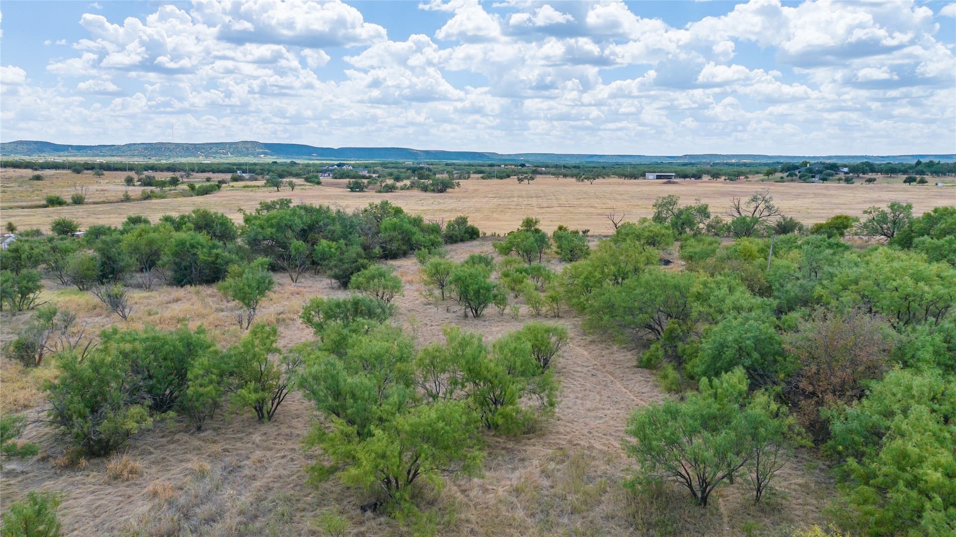 4.97 acres in Taylor County - photo 11