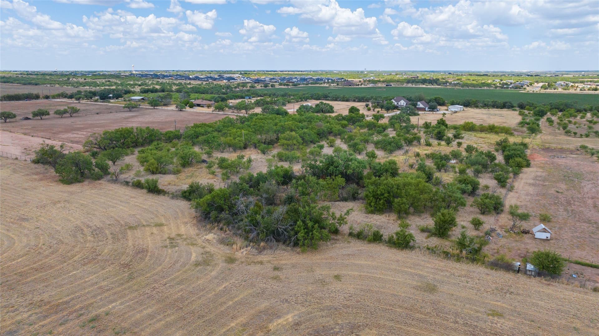 4.97 acres in Taylor County - photo 6