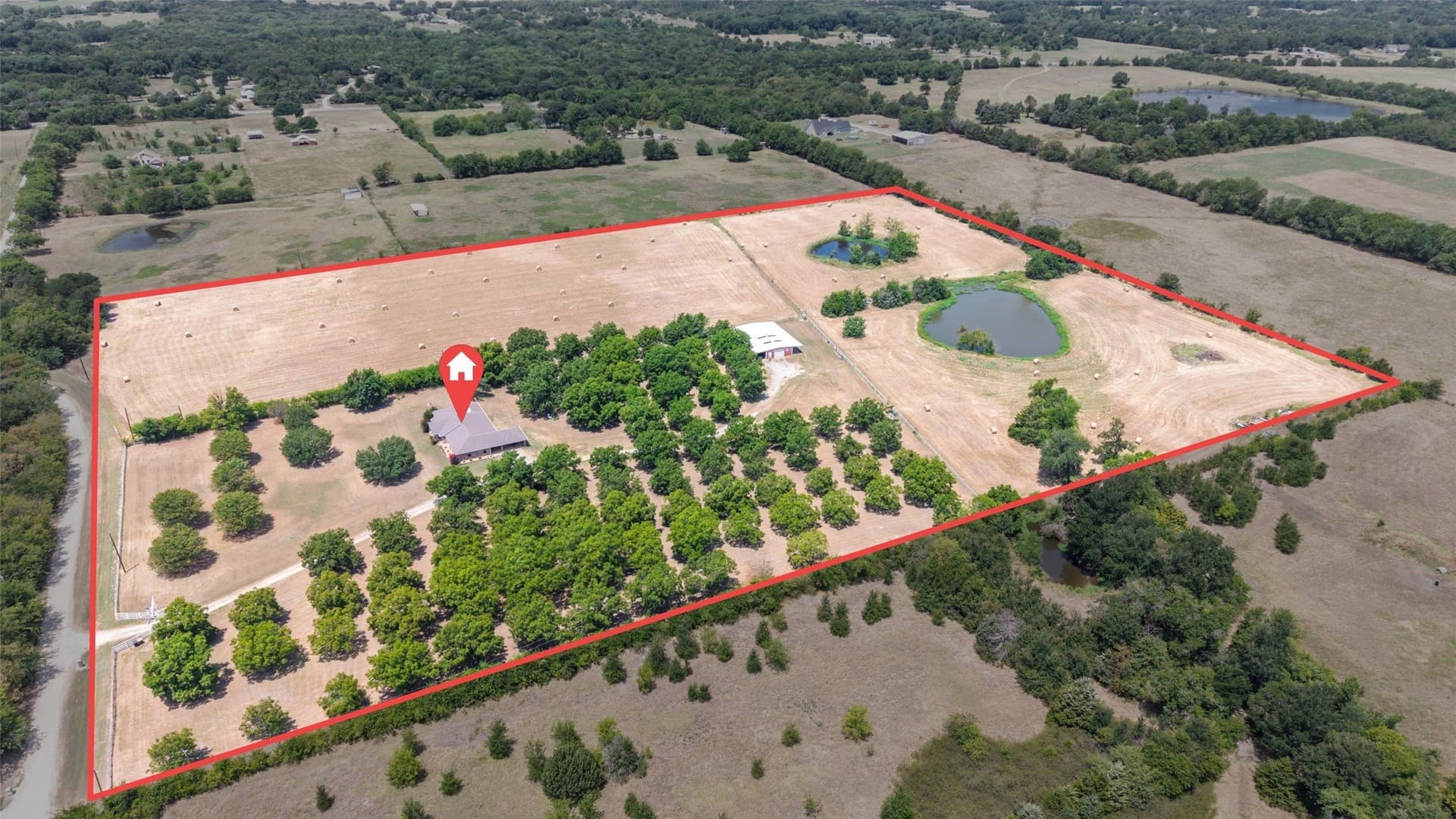 21.77 acres in Rains County - photo 4