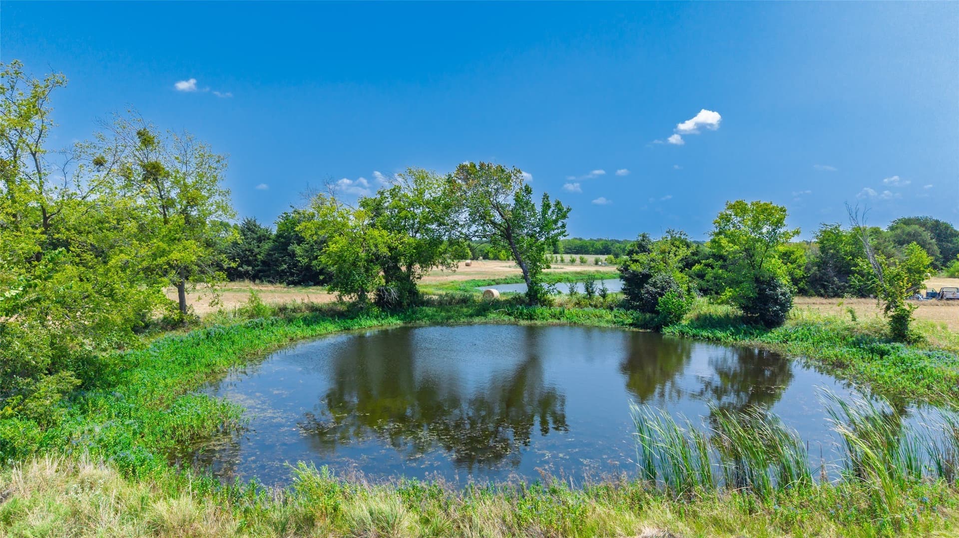 21.77 acres in Rains County - photo 14