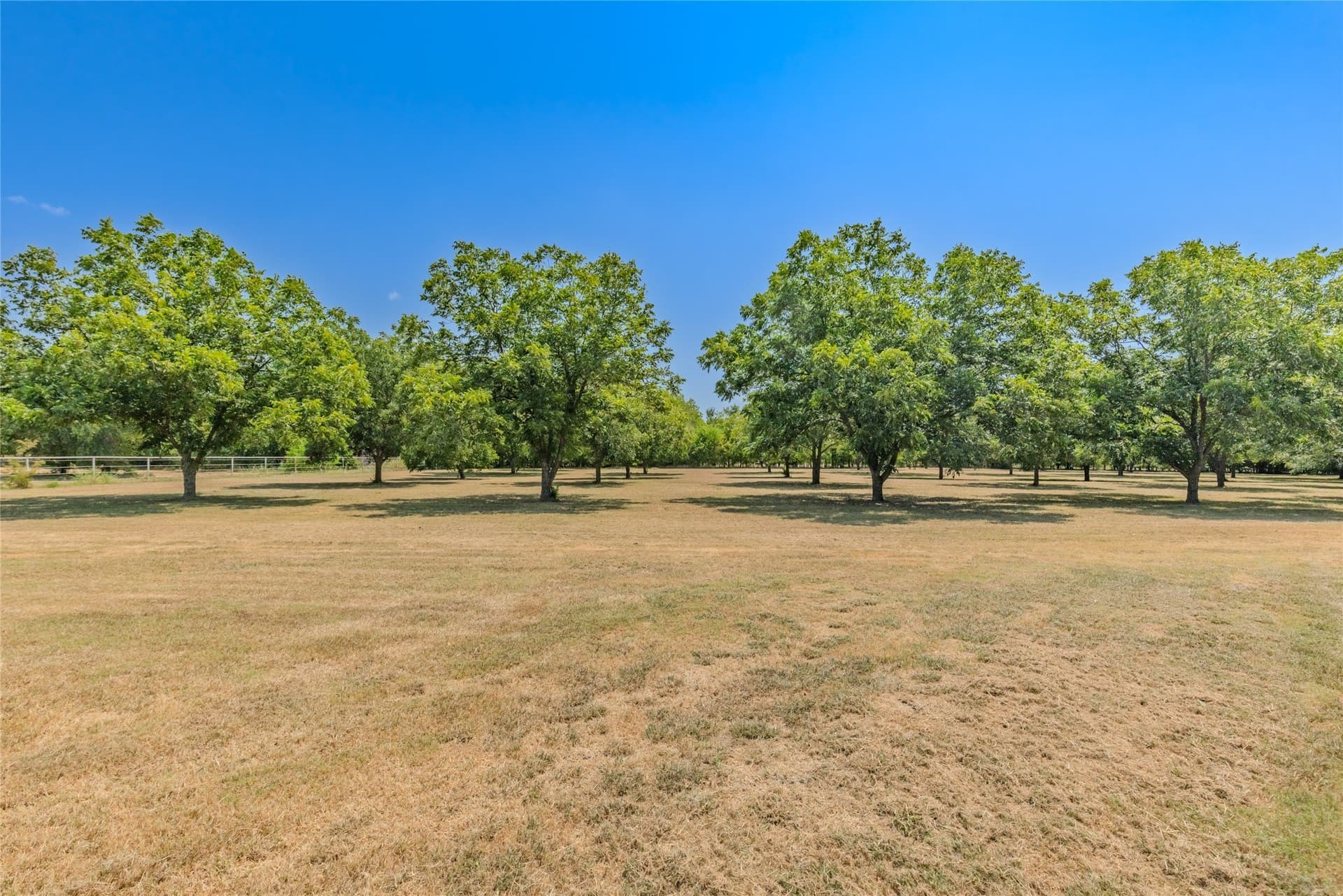 21.77 acres in Rains County - photo 11