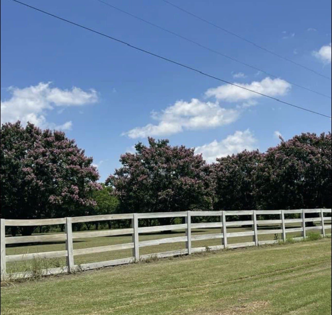 21.77 acres in Rains County - photo 3