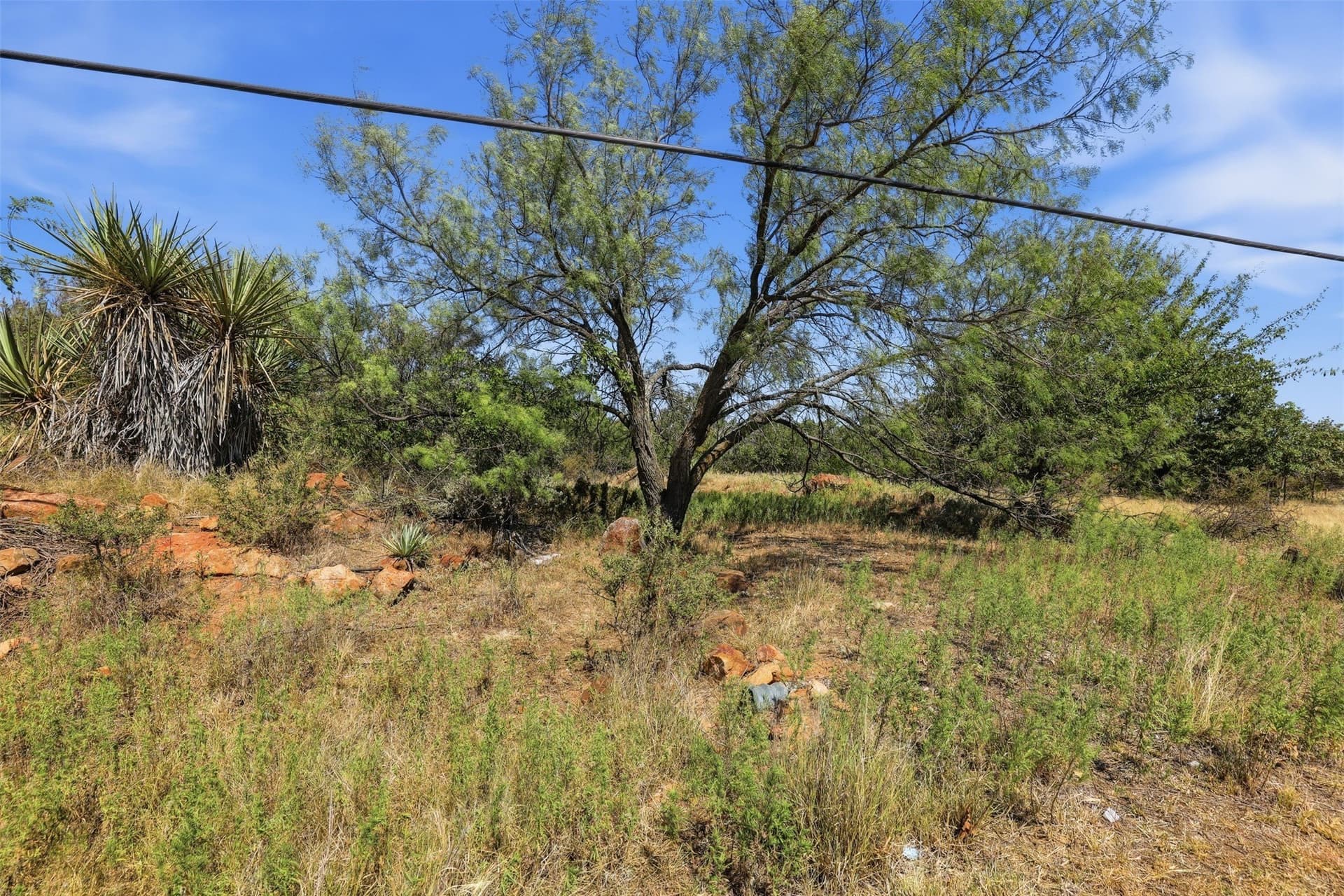 1.6 acres in Palo Pinto County - photo 5