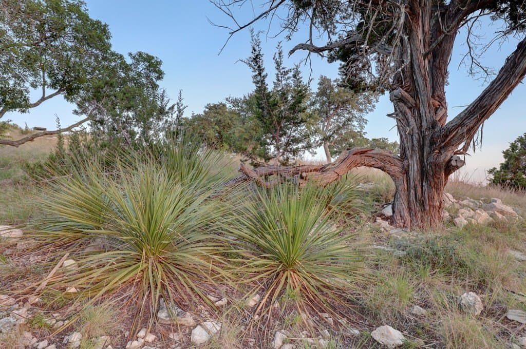 3 acres in Kerr County - photo 14