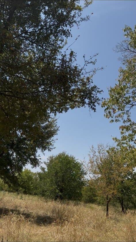 0.12 acres in Hunt County