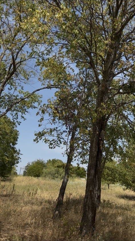 0.12 acres in Hunt County - photo 2