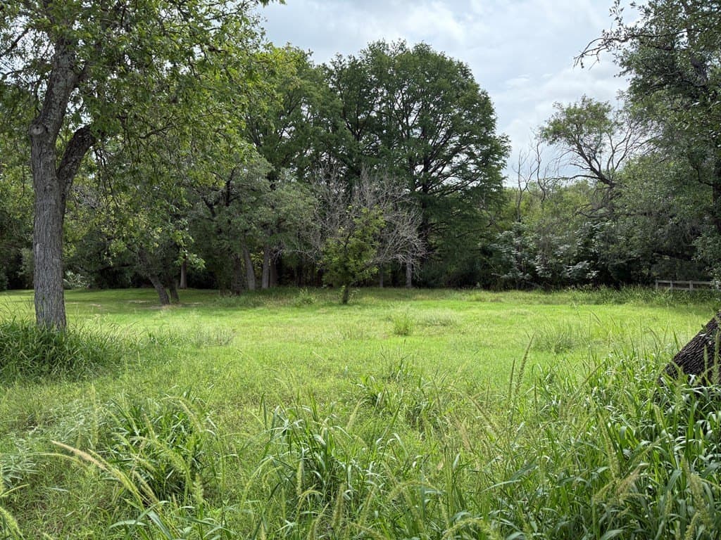 0.5 acres in Kerr County gallery image 4