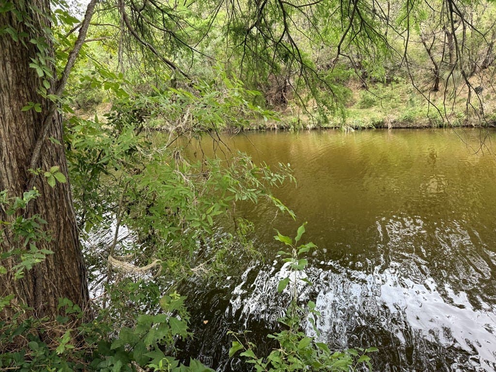 0.5 acres in Kerr County gallery image 2