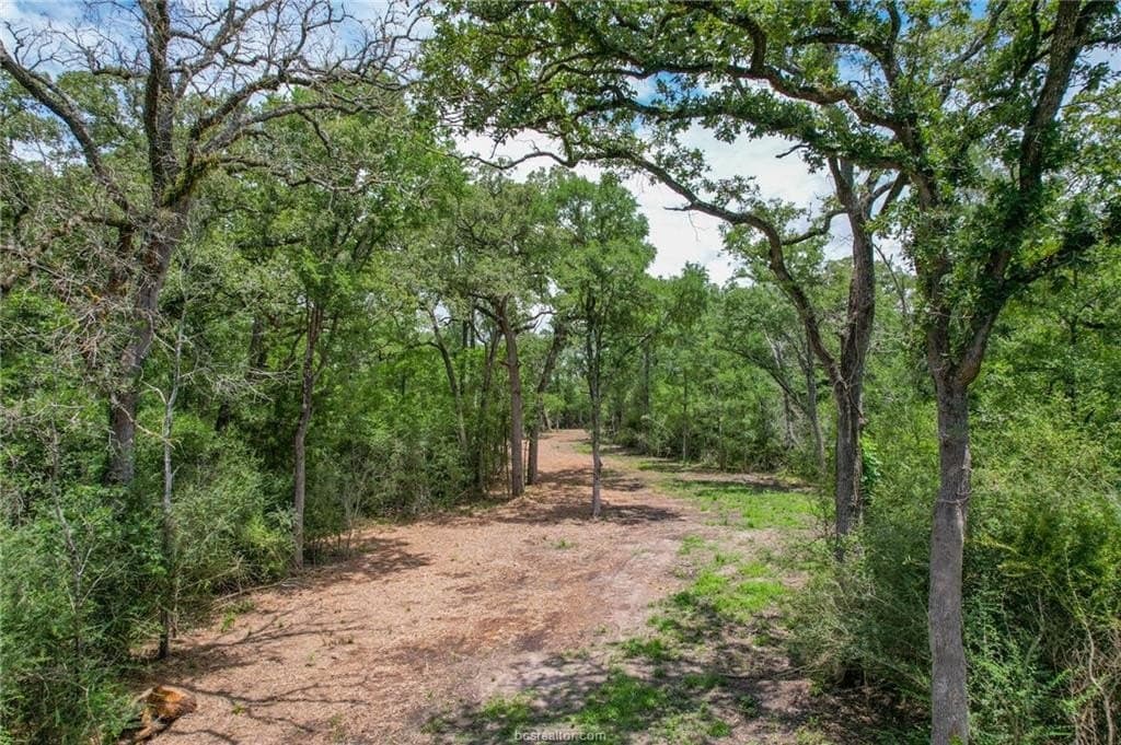 18.44 acres in Brazos County gallery image 2