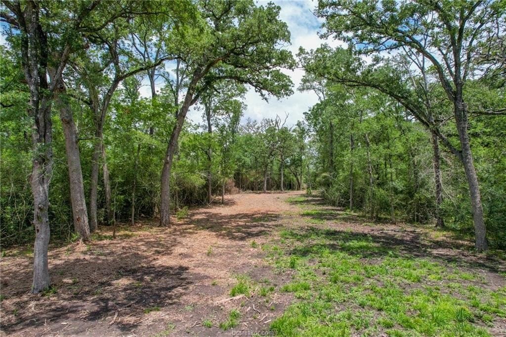 18.44 acres in Brazos County gallery image 3