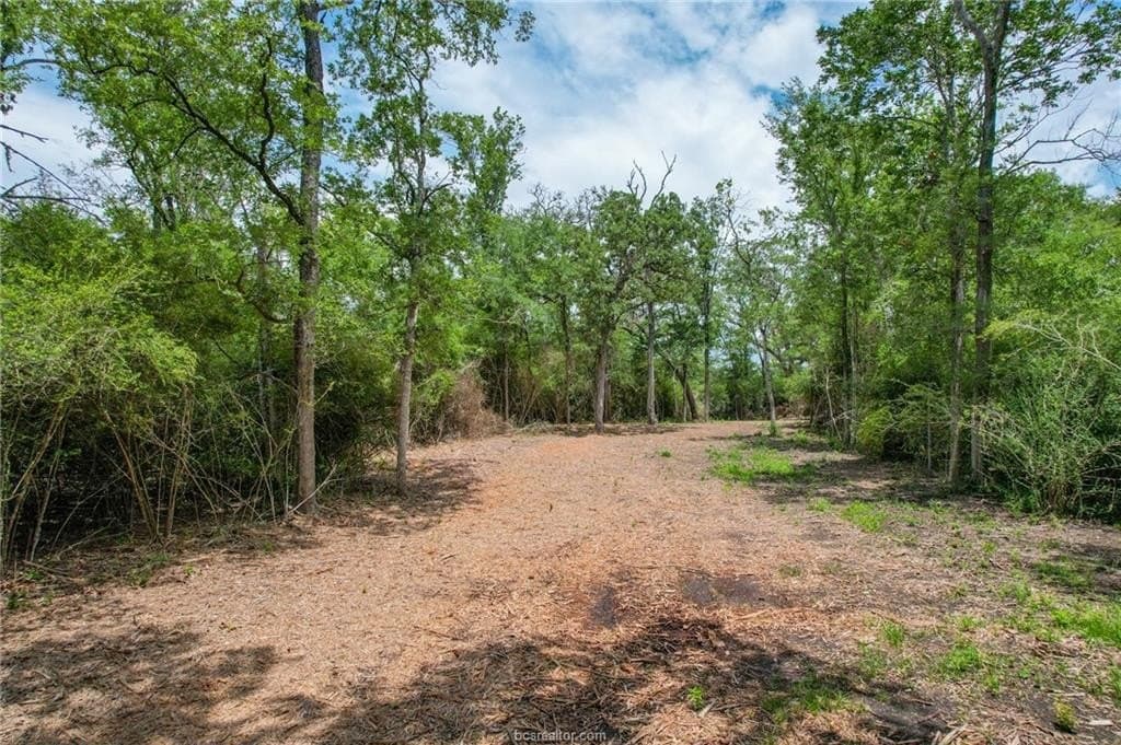 18.44 acres in Brazos County featured view