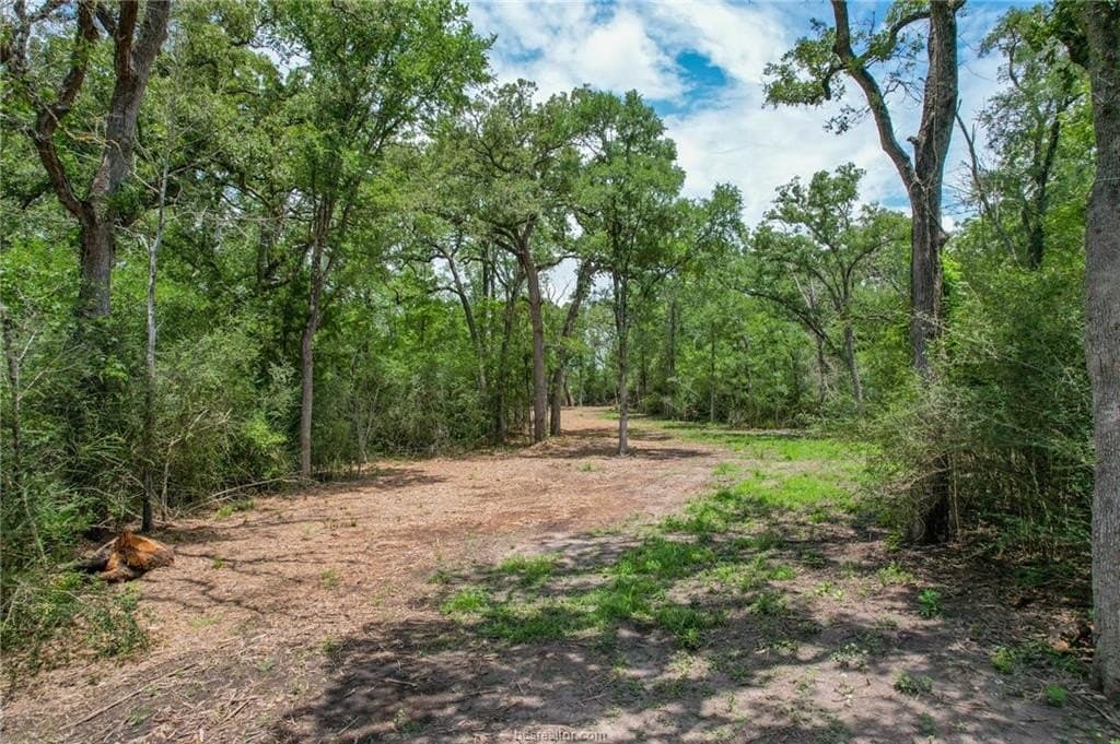 18.44 acres in Brazos County gallery image 4