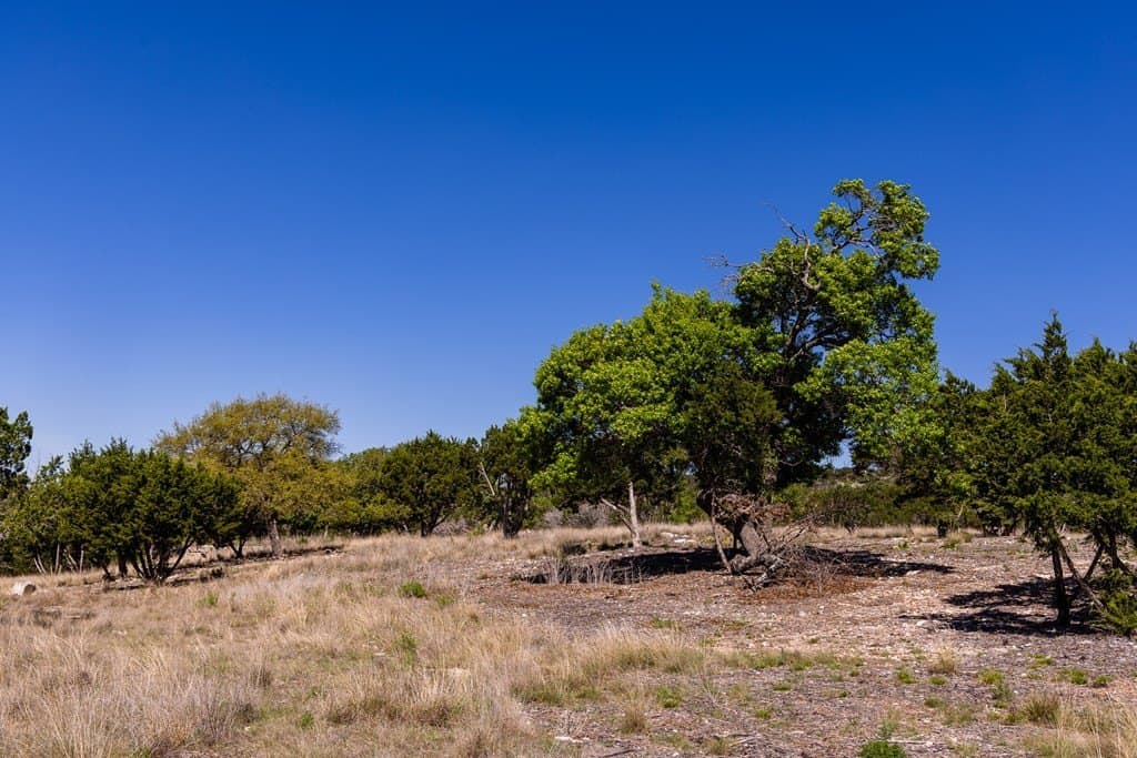19.07 acres in Kerr County - photo 14
