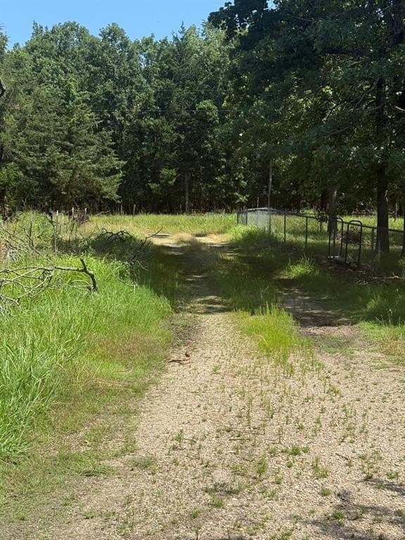 18.4 acres in Lamar County featured view