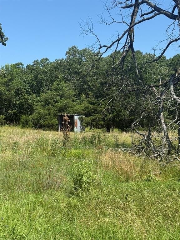 18.4 acres in Lamar County gallery image 4