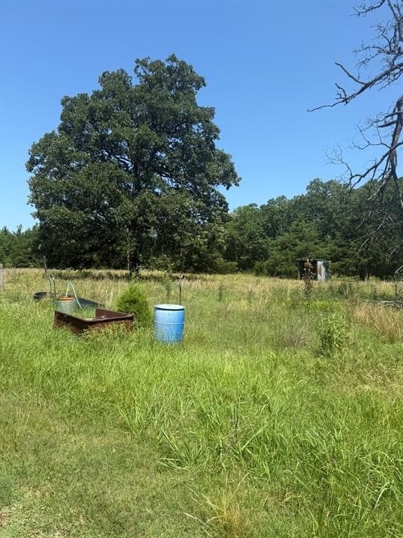 18.4 acres in Lamar County gallery image 3