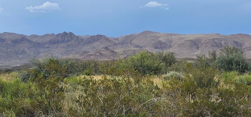 20 acres in Brewster County