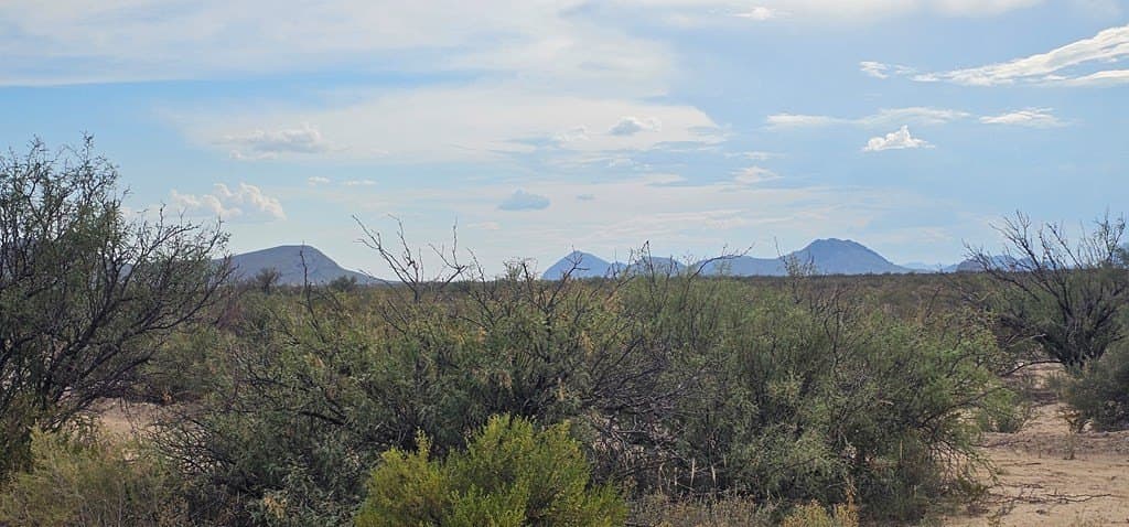20 acres in Brewster County - photo 11