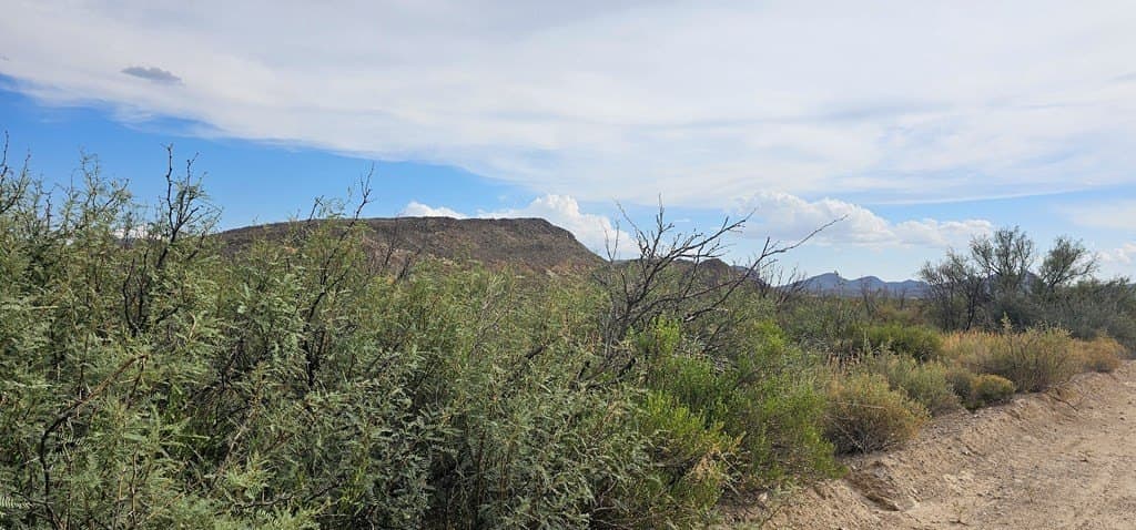 20 acres in Brewster County - photo 8